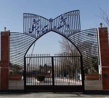 كلية الطب شبه